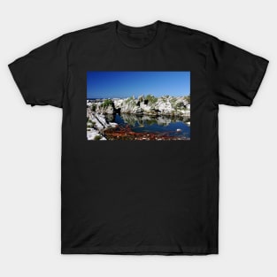 Incroyable paysage dans la péninsule de Kaikoura en Nouvelle-Zélande T-Shirt